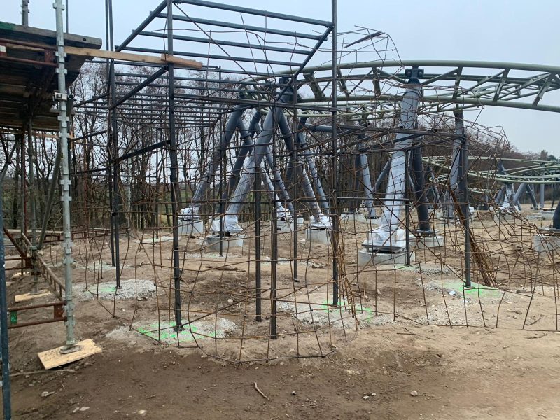 Primary Structure