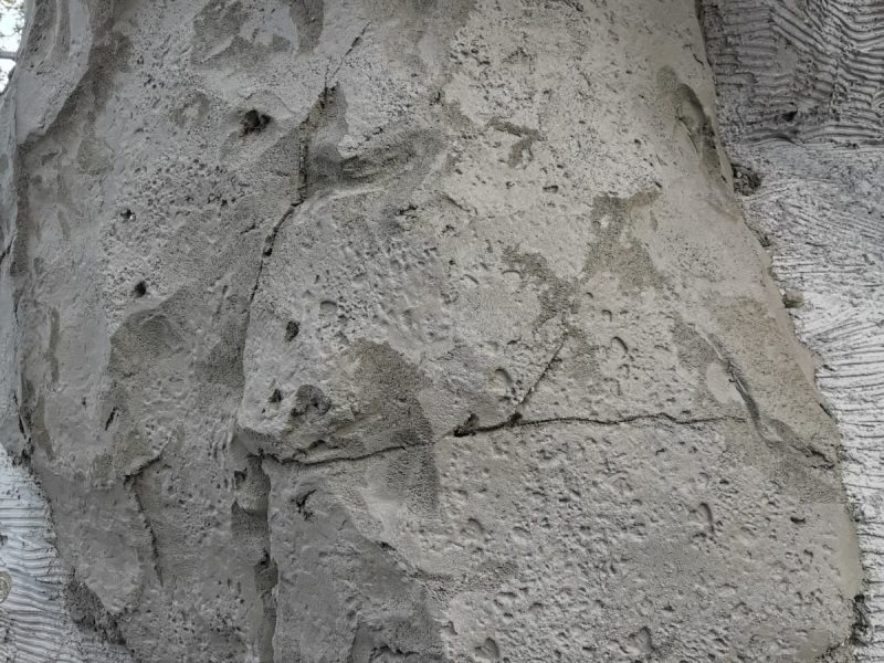 Carving